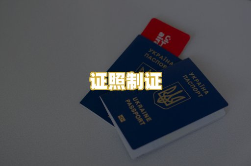 证照制证